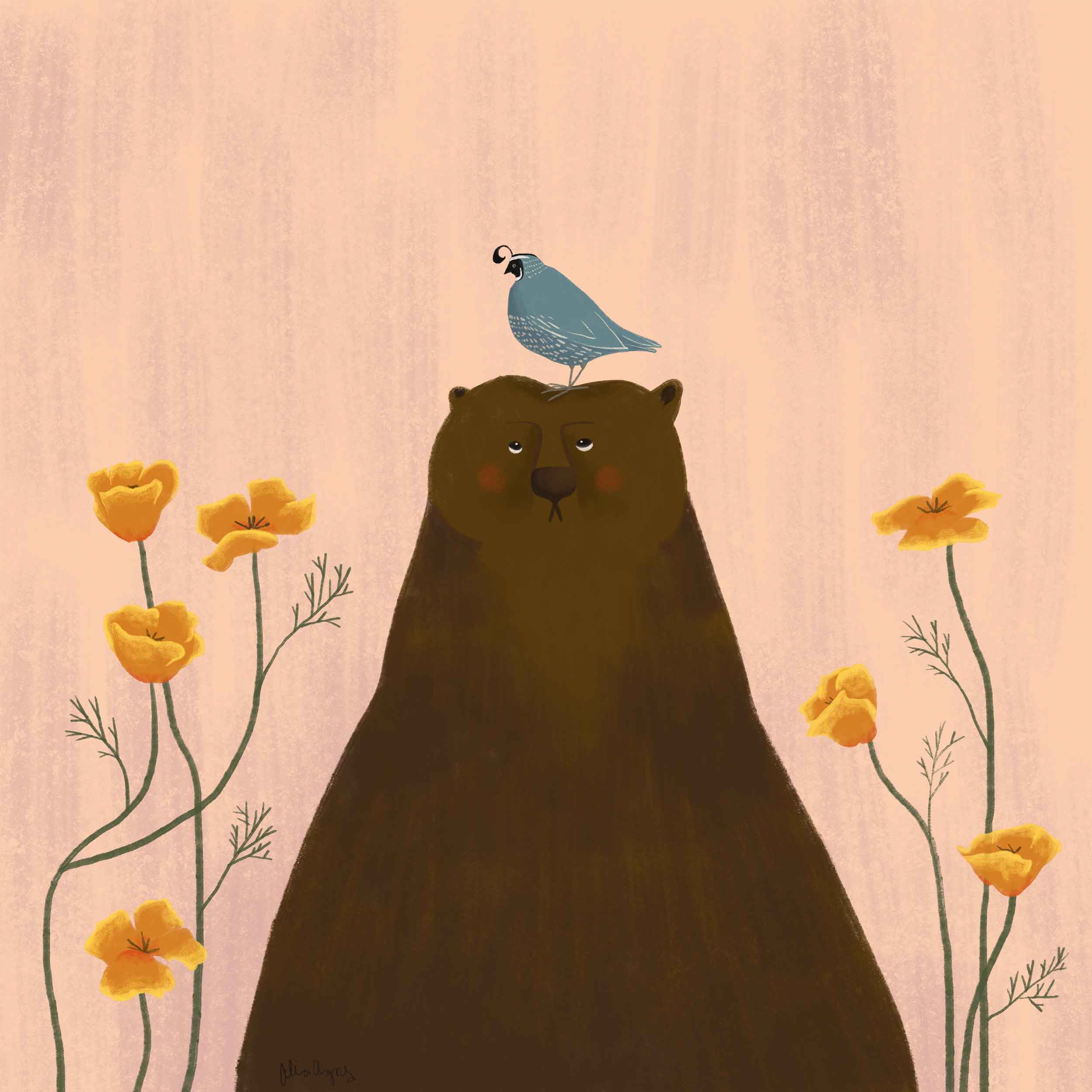 California state wildlife